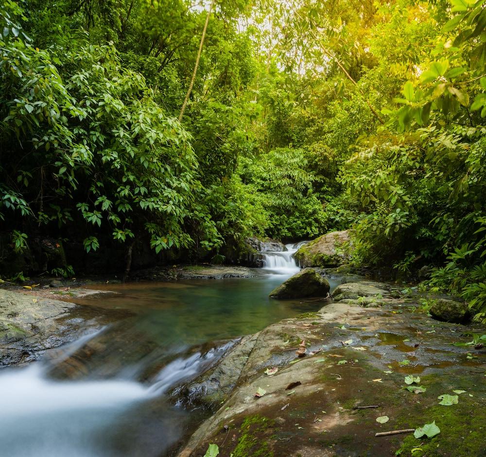 Portasol Rainforest and Ocean View Living
