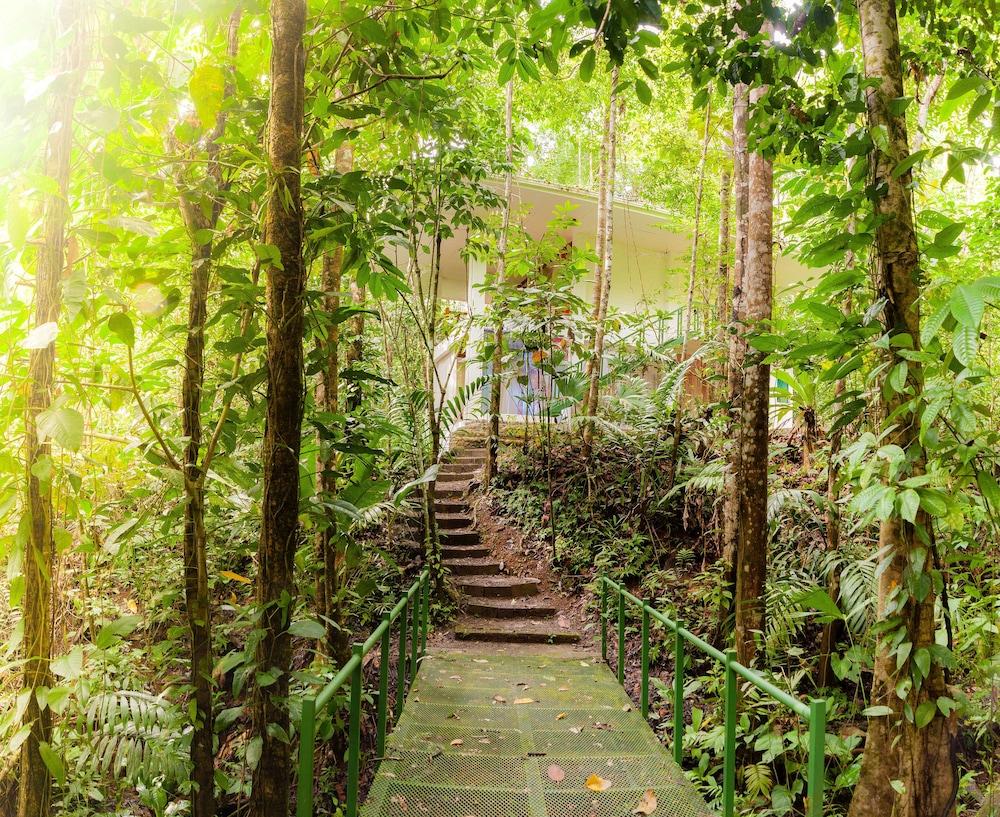 Portasol Rainforest and Ocean View Living