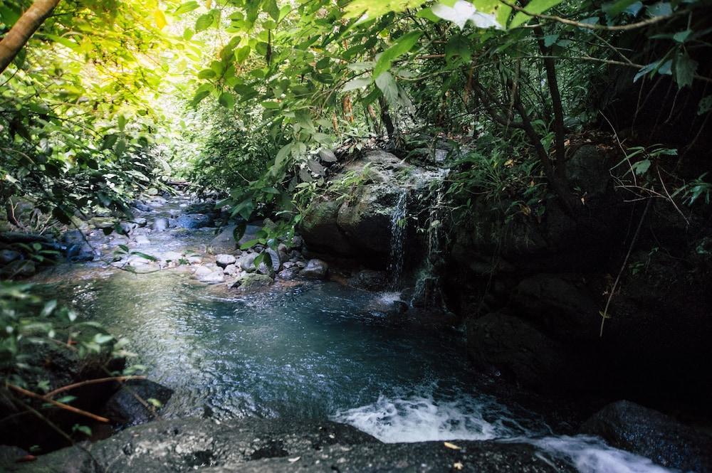 Portasol Rainforest and Ocean View Living