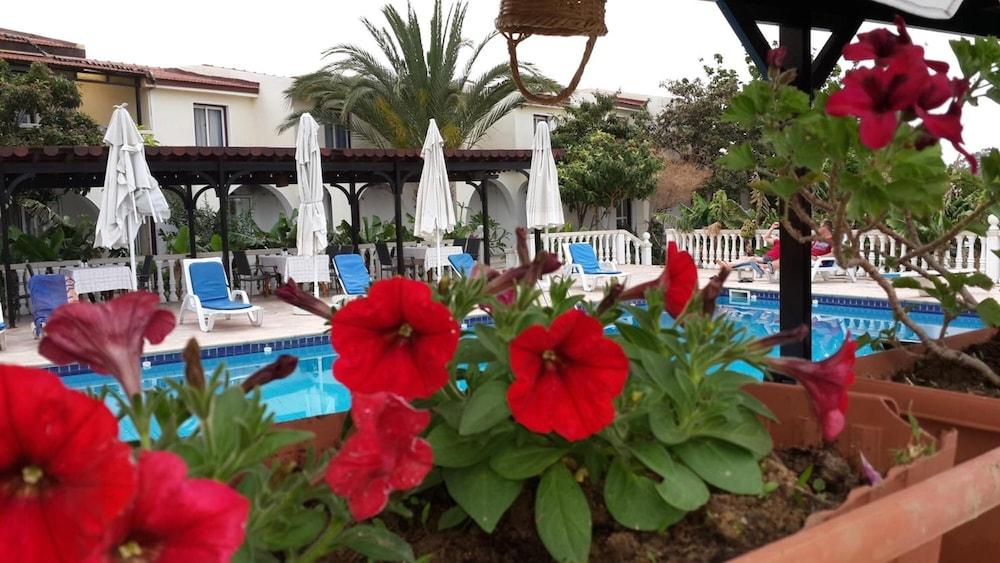 Club Alda