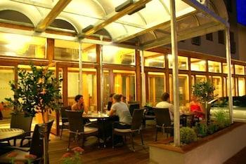Hotel Lev