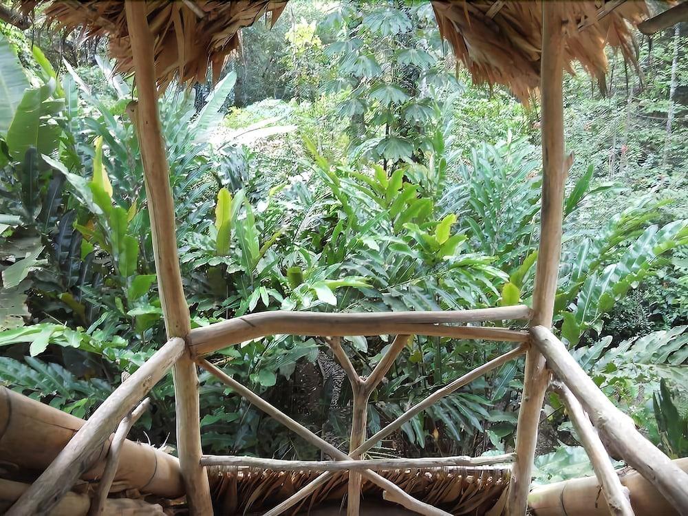 Casa Moabi