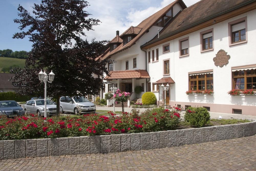Hirsch Berghaupten
