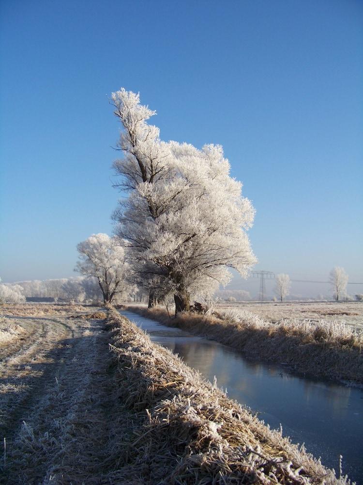 Löwenbruch
