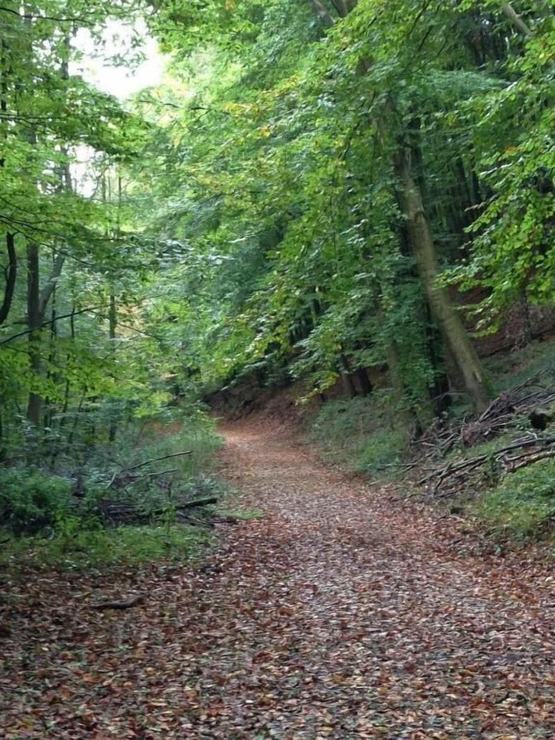 Waldhotel