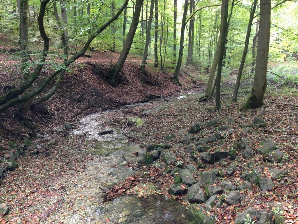 Waldhotel