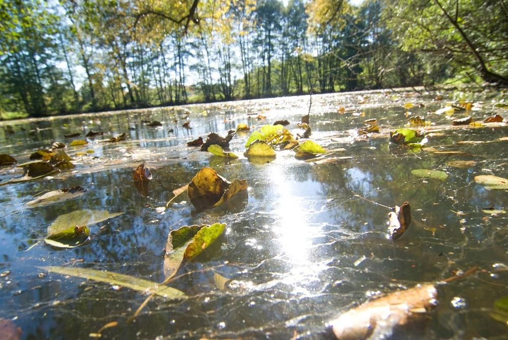 Wassermuhle Heiligenthal