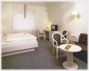 Hotel Samson