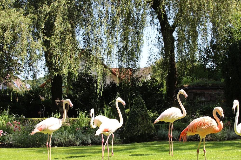 Parkhotel Krone Maleck