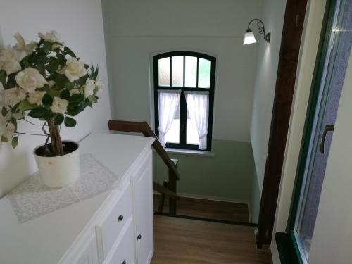 Villa Alice