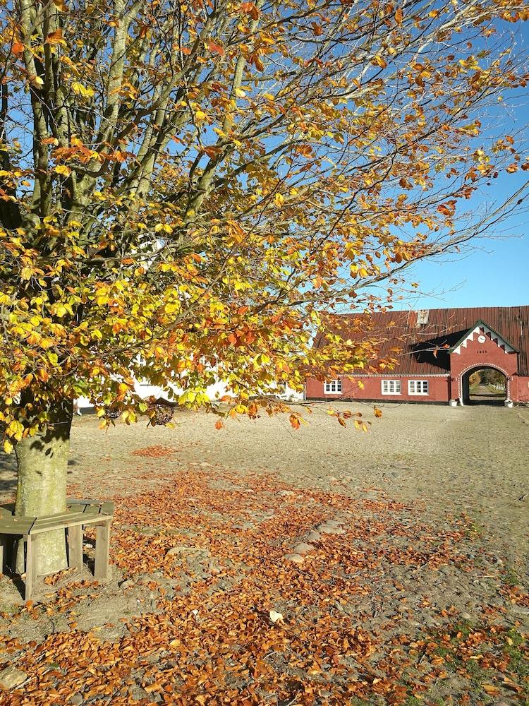 Holtegaard Bed & Breakfast