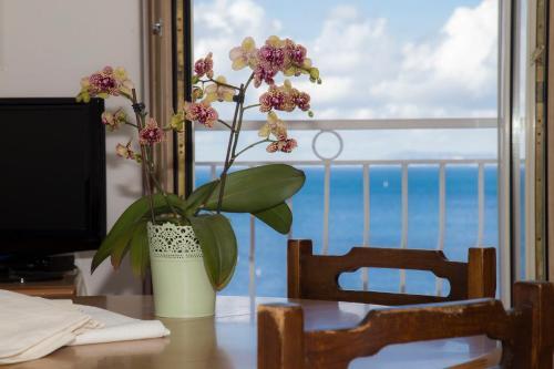 Coltur Suites
