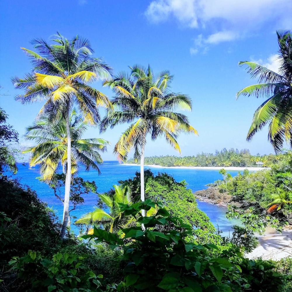 House Jardin Del Caribe