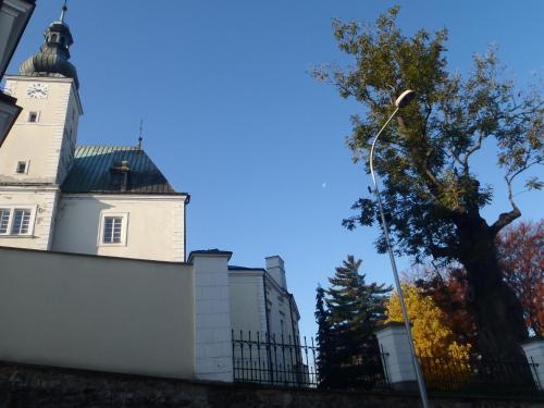 Hotel & Caffe Silesia