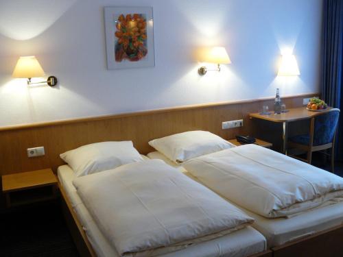 Hotel Pflieger - Superior
