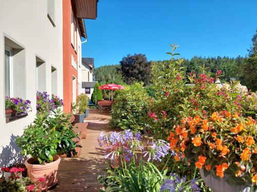 Pension Helvetia