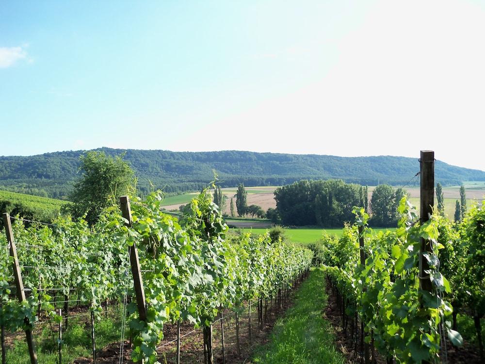 Weingasthof Schwarzer Adler