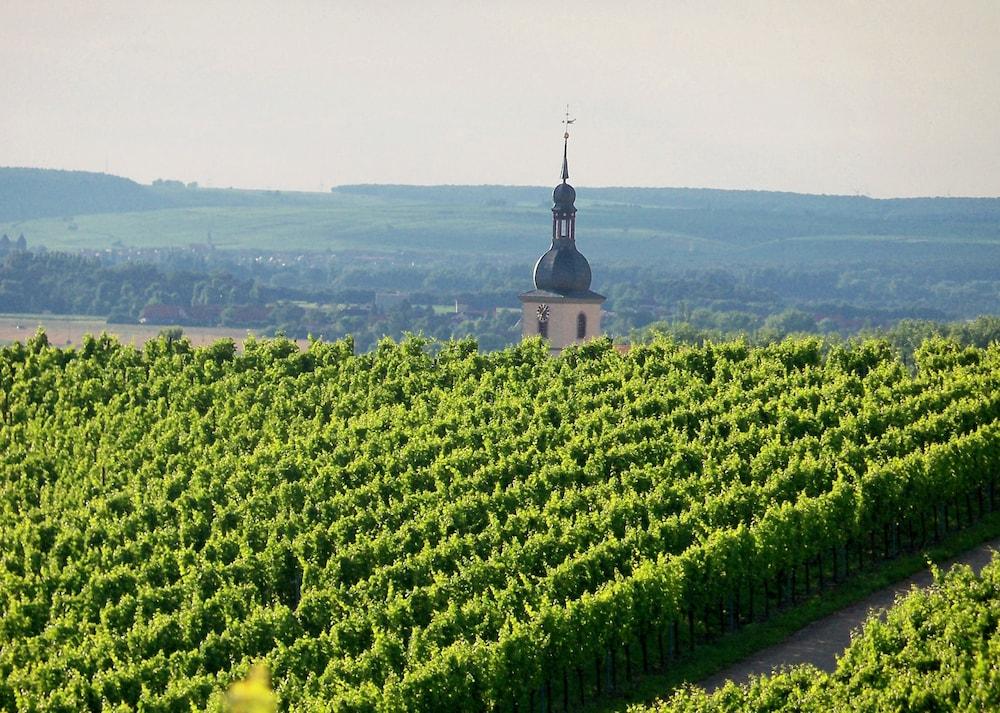 Weingasthof Schwarzer Adler