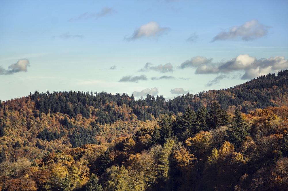 Rainhof Scheune
