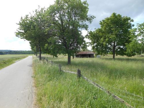 Pfeffermuhle