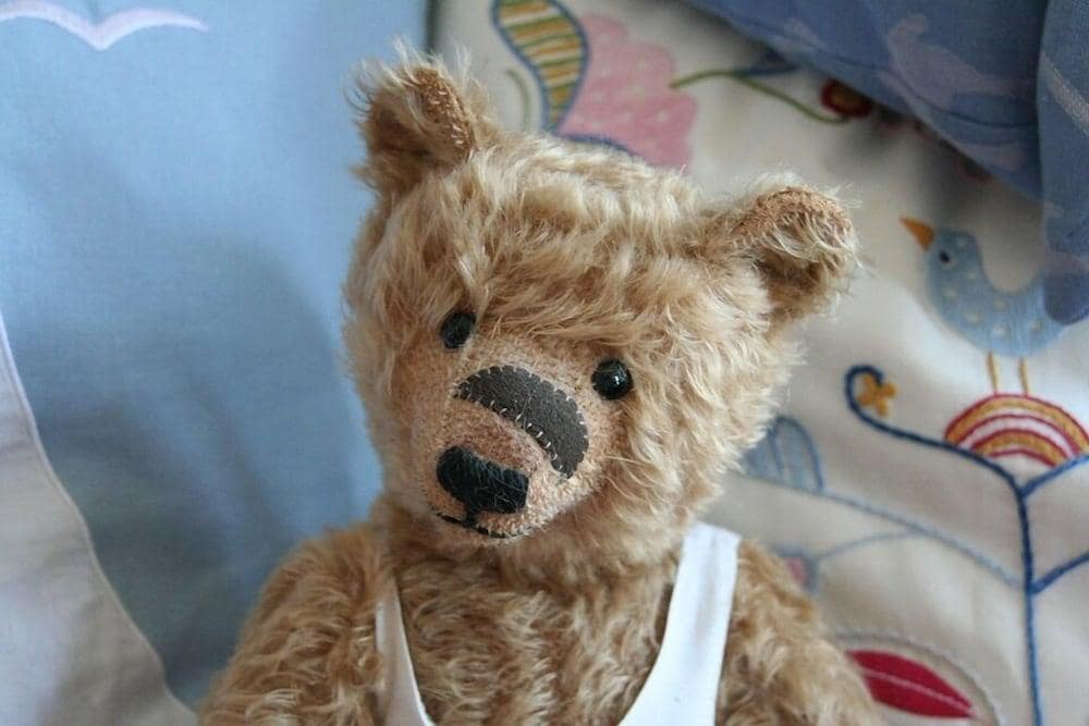 Teddybärenhotel ® & Restaurant Peterhof