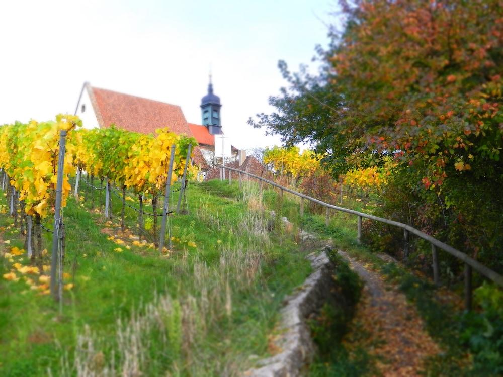 Am Torturm