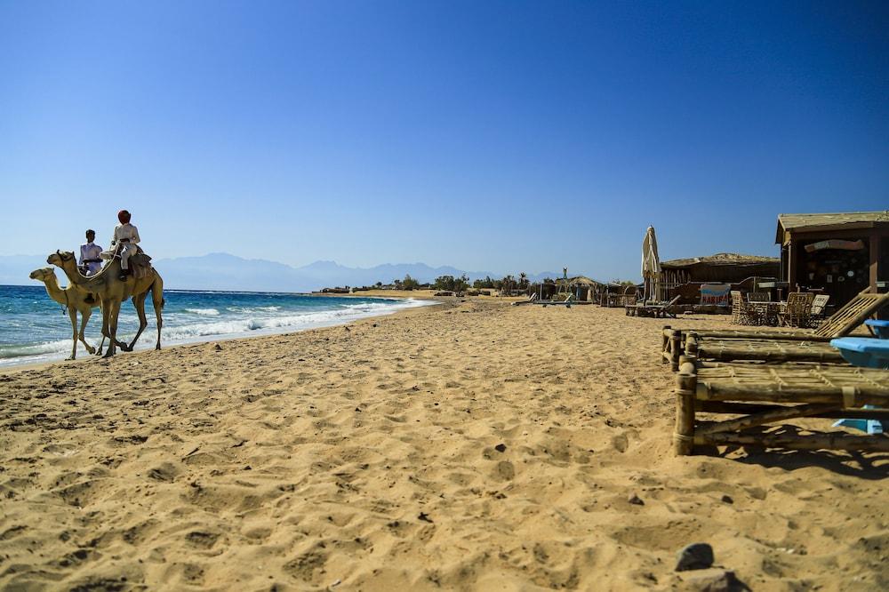 Habiba Beach Lodge