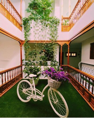 Tapahuga Appartements