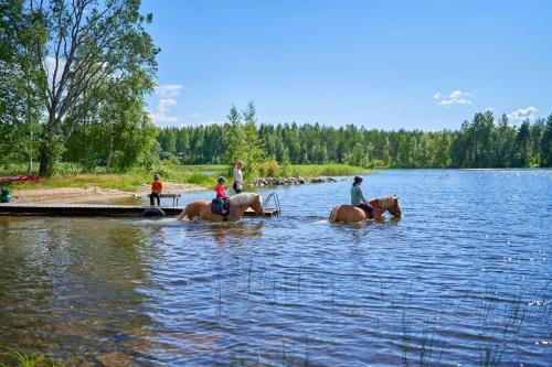 Holiday Resort Naaranlahti