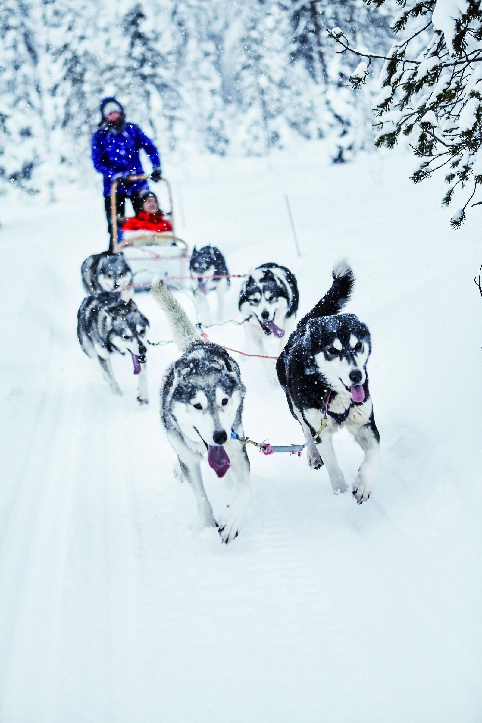 Holiday Club Ruka