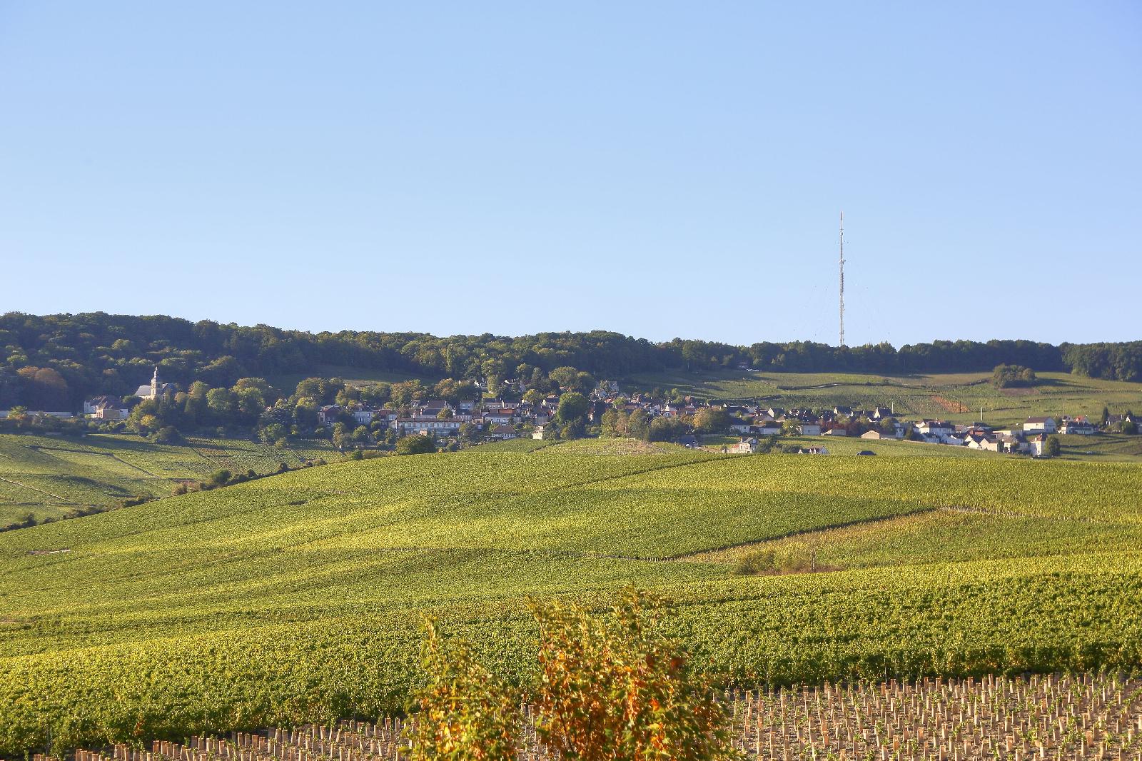 Hotel Les Grains d'Argent