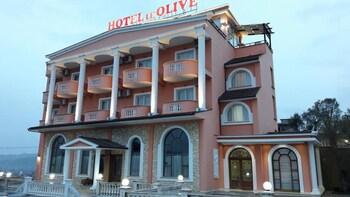 Hotel Bar Restorant Le Olive
