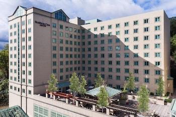 Residence Inn Pittsburgh University/Medical Center