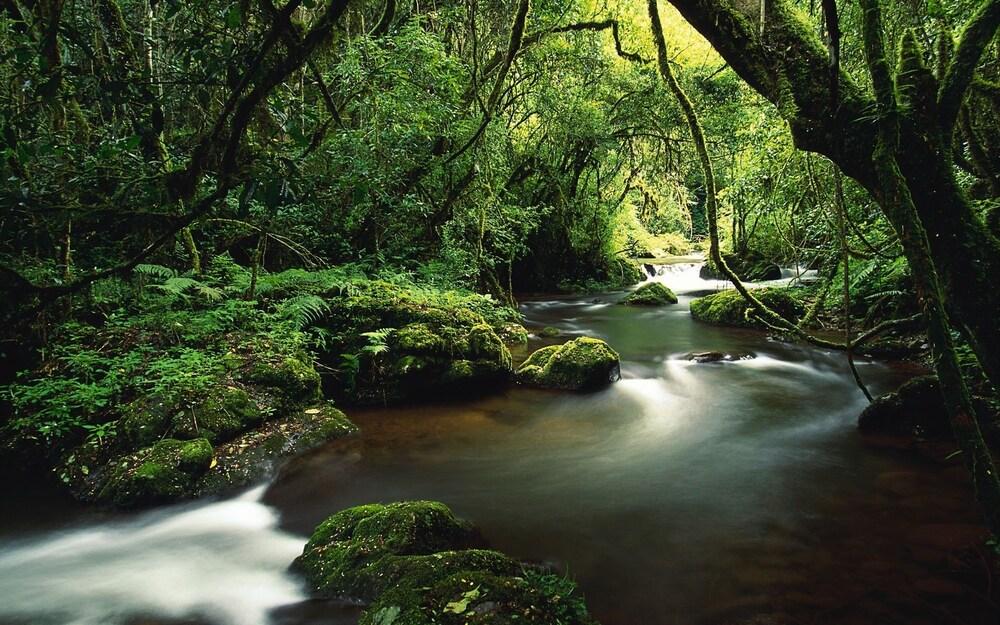 Cerro Chato Ecolodge