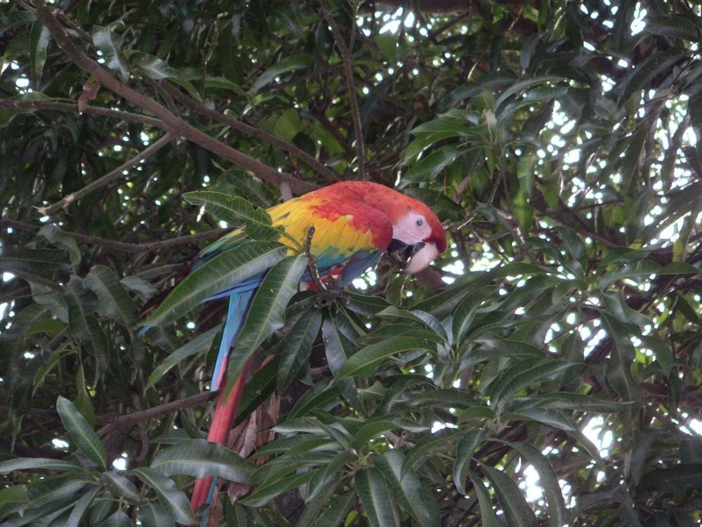 Cerro Chato Ecolodge