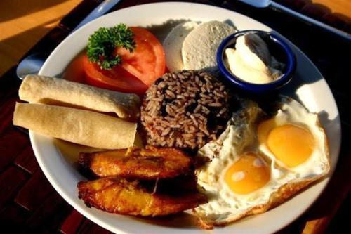 Cerro Chato Ecolodge