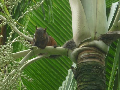Cerro Chato Ecolodge