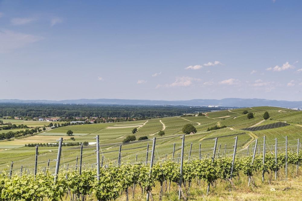 Zum Ochsen