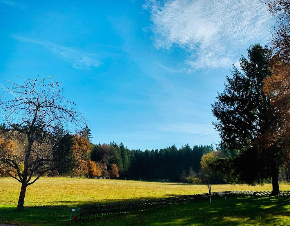 Waldgasthof Zum Geländer