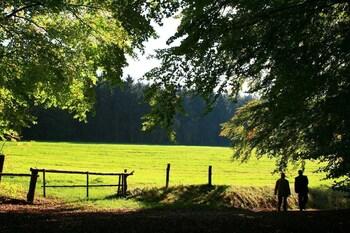 Wilhelmshohe