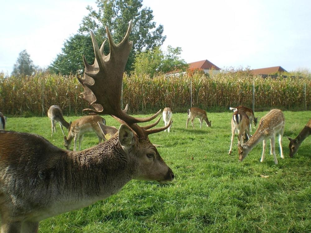 Märkischheide