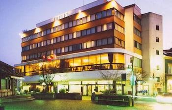 Parkhotel David Lorrach
