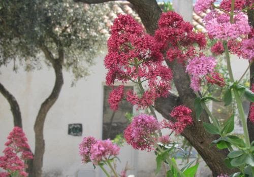 Carpe Diem Cadaqués