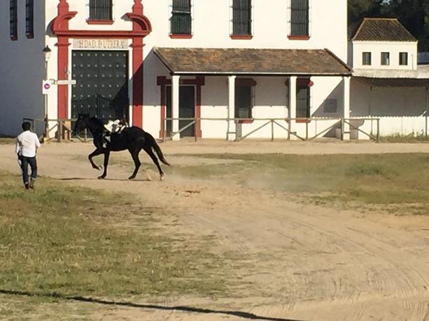 Alojamiento Rural El Rocio