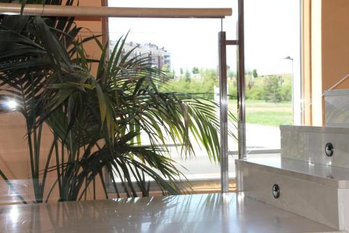 Apartahotel Ribera