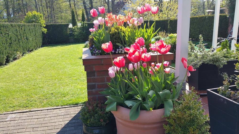 Pension Am Fuchsberg