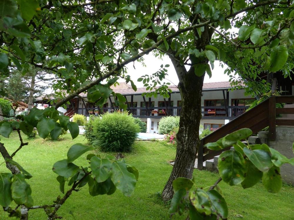 Vieille Ferme
