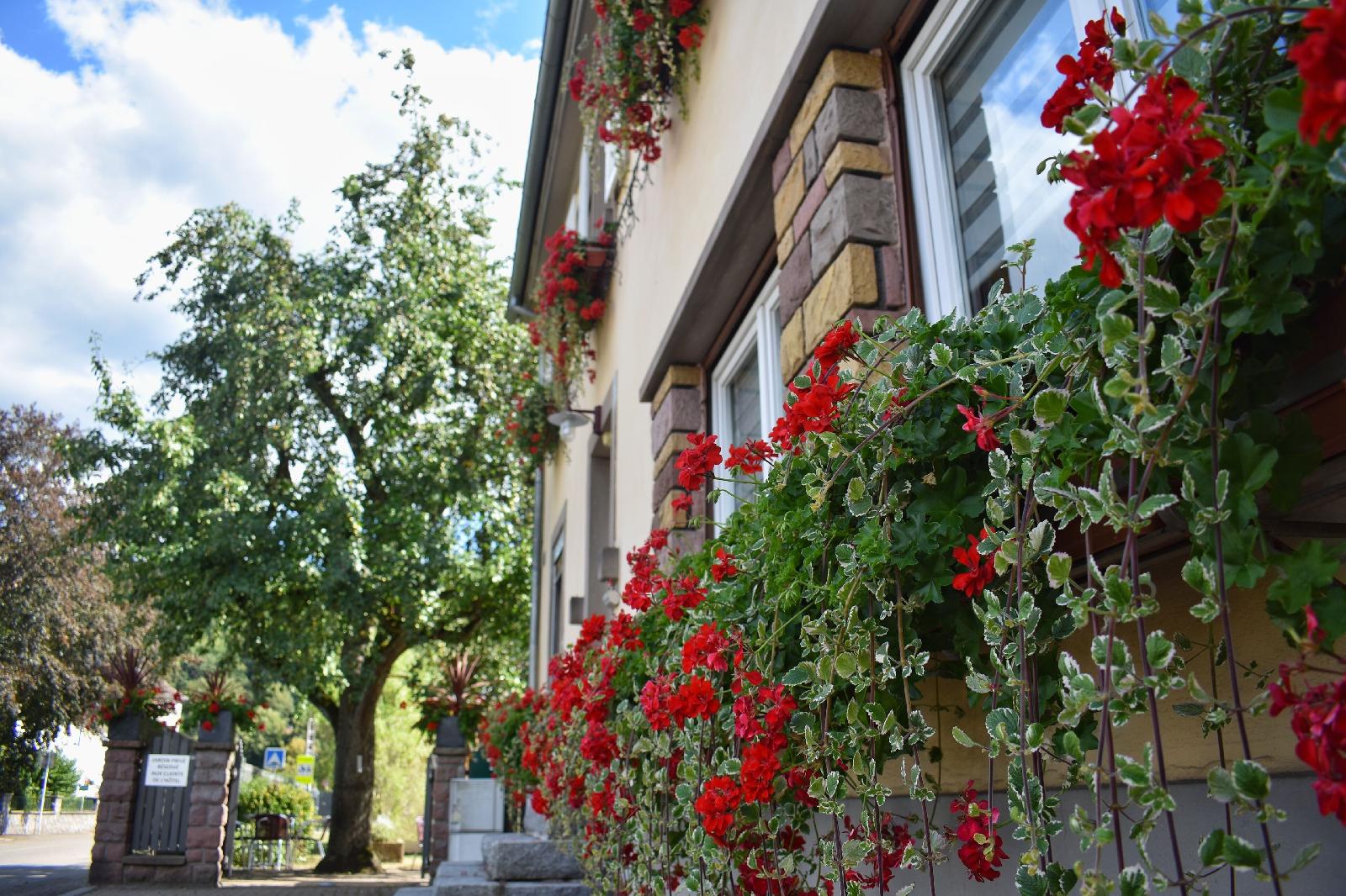 Hotel Deybach
