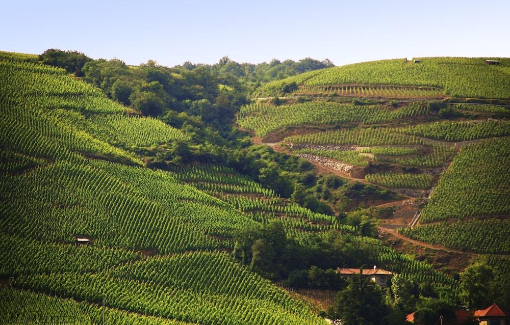 Ibis budget Pouilly en Auxois