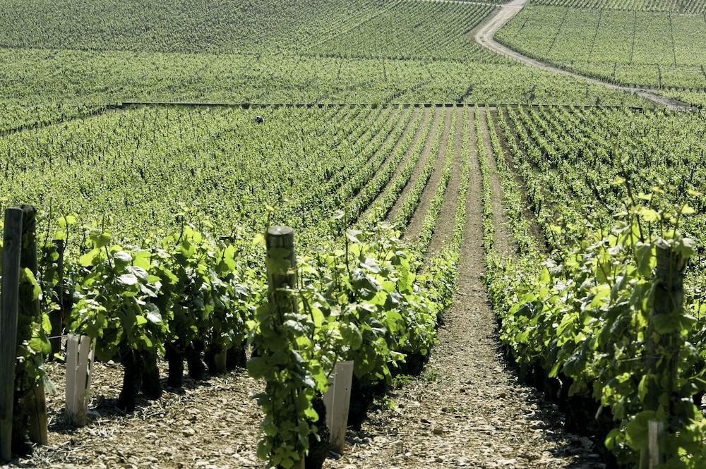 Ibis budget Pouilly en Auxois